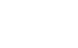 Coughlin & Associates