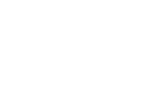 Johnson Insurance