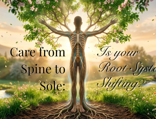 Care From Spine to Sole: Is Your Root System Shifting?